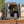 4X4 144 Mercedes Sprinter - Evergreen Dream II