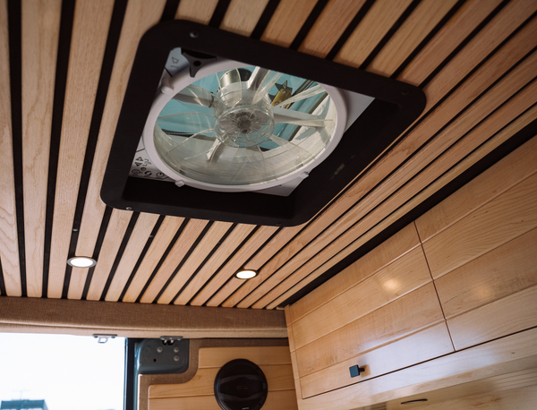2025 Evergreen Dream II w Loft Bed